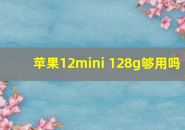 苹果12mini 128g够用吗